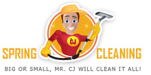 www.springcleaning.in